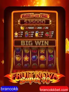 Descubra o Fascinante Mundo de FruitNovaSuper40: Regras e Estratégias para Vencer